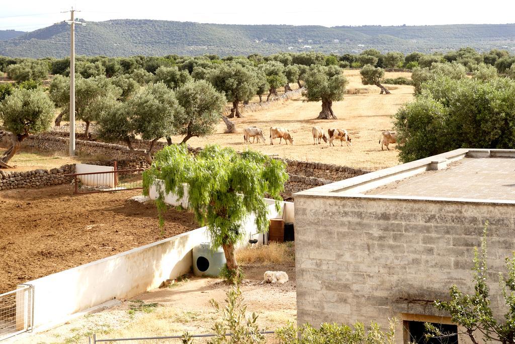 Masseria Curatori 모노폴리 외부 사진