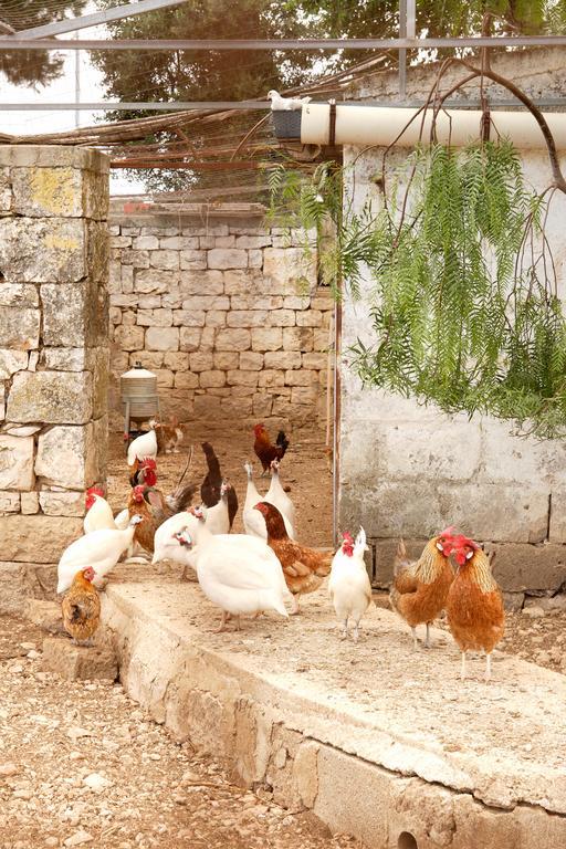 Masseria Curatori 모노폴리 외부 사진