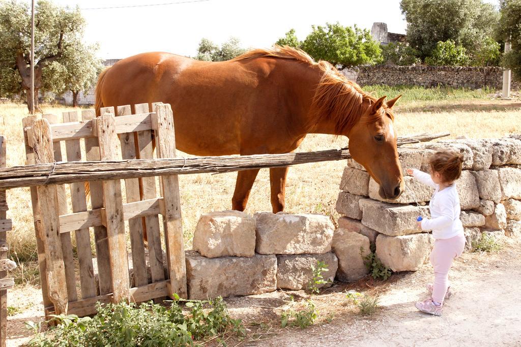 Masseria Curatori 모노폴리 외부 사진
